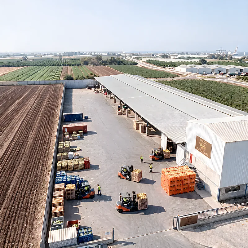 מבט אווירי על המתחם והשדות שמסביב